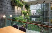 Туры в отель YOTELAIR Singapore Changi Airport