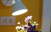 Туры в отель Sala Bua Room Karon