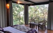 Туры в отель Arangala Forest Lodge