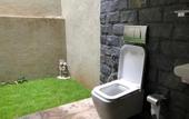 Туры в отель Arangala Forest Lodge