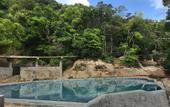 Туры в отель Arangala Forest Lodge
