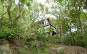 Туры в отель Arangala Forest Lodge
