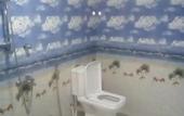 Туры в отель Thevindu guest & red mud resturent