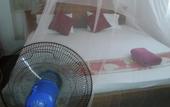 Туры в отель Thevindu guest & red mud resturent