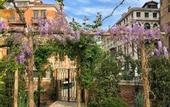 Туры в отель Madama garden retreat