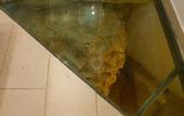 Туры в отель 12 Keys Athens Apartments