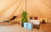 Туры в отель Roost Glamping