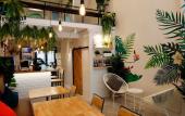Туры в отель Tropical Summer Hostel