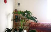 Туры в отель Benzen Boutique Stays Hostel and Apartment