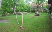 Туры в отель Mendis Cottage