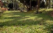 Туры в отель Lake Garden Villa - Kelaniya