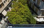 Туры в отель Athenian Foss