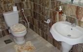 Туры в отель Comfort Pyramids inn