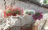 Туры в отель Kalopanayiotis 1-Bedroom Cottage