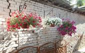 Туры в отель Kalopanayiotis 1-Bedroom Cottage