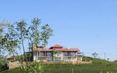 Туры в отель The Harrington Heritage Bungalow