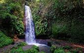 Туры в отель Ubud Hills Villas & Resort