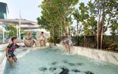 Туры в отель Holiday Inn & Suites Siracha Laemchabang by IHG