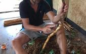 Туры в отель Bobos Cinnamon Estate  Sri Lanka