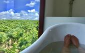 Туры в отель Bobos Cinnamon Estate  Sri Lanka