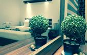Туры в отель 8PlusMotels