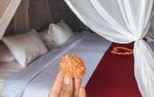 Туры в отель Penida Bambu Green Villas
