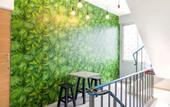 Туры в отель Bossa House Hostel & Cafe