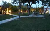 Туры в отель Отель The Santo George Beach Resort
