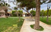 Туры в отель Отель The Santo George Beach Resort