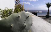 Туры в отель Maregold Mykonos