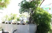 Туры в отель Green Garden House Homestay
