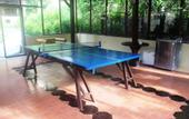 Туры в отель Amed Cafe & Hotel Kebun Wayan