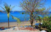 Туры в отель Amed Cafe & Hotel Kebun Wayan