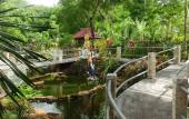 Туры в отель Amed Cafe & Hotel Kebun Wayan