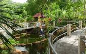 Туры в отель Amed Cafe & Hotel Kebun Wayan