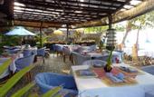 Туры в отель Amed Cafe & Hotel Kebun Wayan
