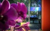 Туры в отель Aspira D' Andora Sukumvit 16