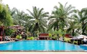 Туры в отель Palmthien Pool Villa Aonang