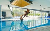 Туры в отель Grand Hotel Sava