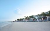 Туры в отель Occidental Sharjah Grand