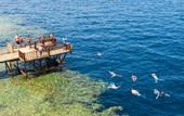 Туры в отель The Grand Hotel Sharm el Sheikh