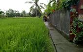 Туры в отель Villa Esa Ubud