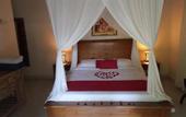 Туры в отель Villa Esa Ubud