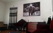 Туры в отель Black and White Resort