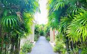 Туры в отель Beautiful 1br Plunge Pool Villa Walk To Bangtao Beach