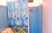 Туры в отель Swiss Chalet Garden Pool Resort