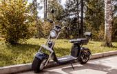 Туры в отель Cosmos Collection Izumrudny Les Hotel