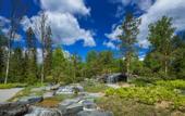 Туры в отель Cosmos Collection Izumrudny Les Hotel