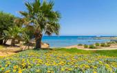 Туры в отель Villa Constantinos Large Private Pool Walk to Beach Sea Views A C Wifi Car Not Required - 2220