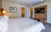 Туры в отель Holiday Inn San Jose La Sabana by IHG